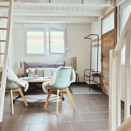 Loft Mandallaz - Au Coeur De La Ville Annecy Ngoại thất bức ảnh
